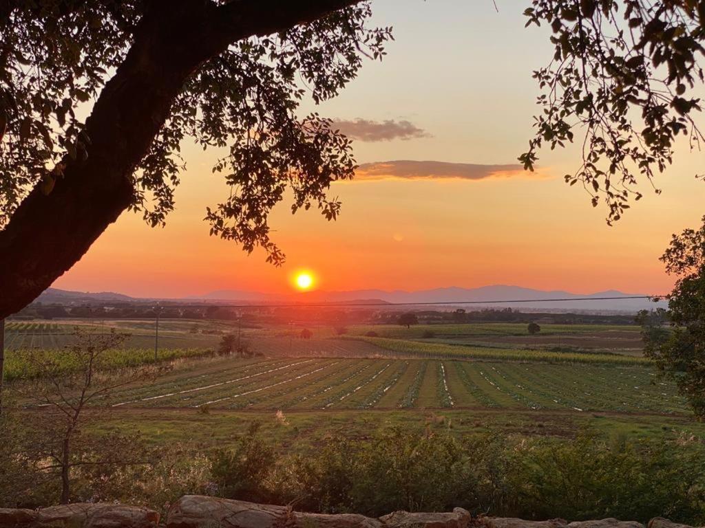 When In Maremma Apartman Alberese Kültér fotó