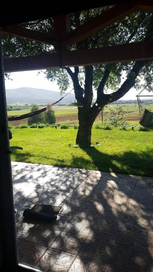 When In Maremma Apartman Alberese Kültér fotó